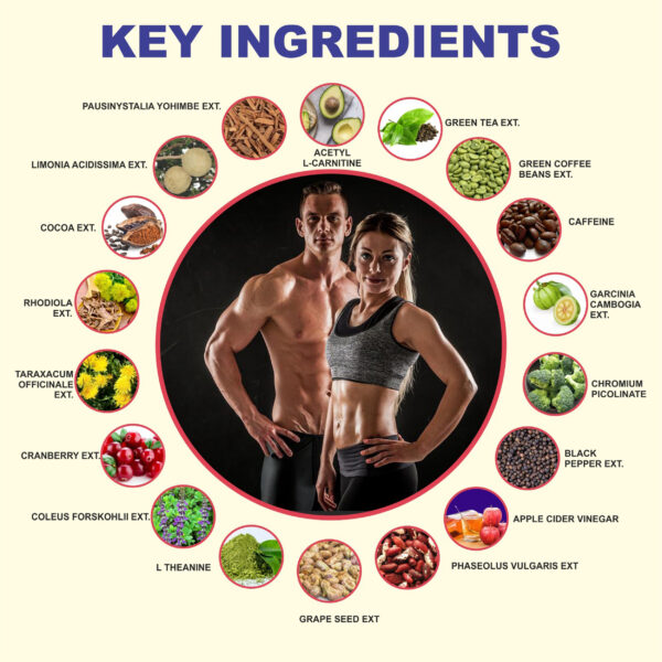 ingredients of weight loss tablet